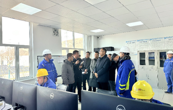 青海省生態(tài)環(huán)境廳黨組書記、廳長湯宛峰調(diào)研麥王項目